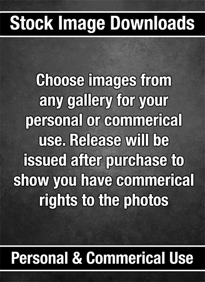 View Photos - order images
