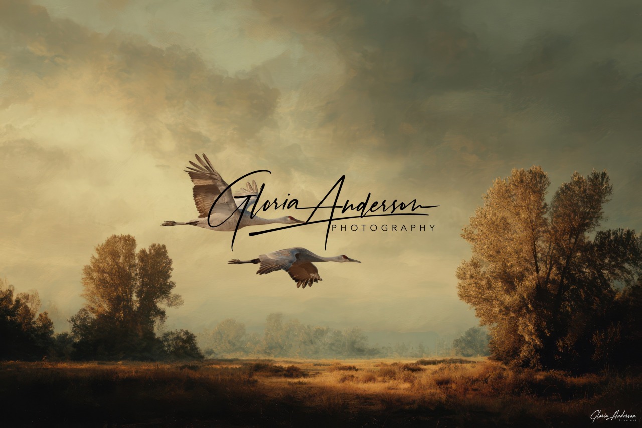 Digital Paintings & Composites