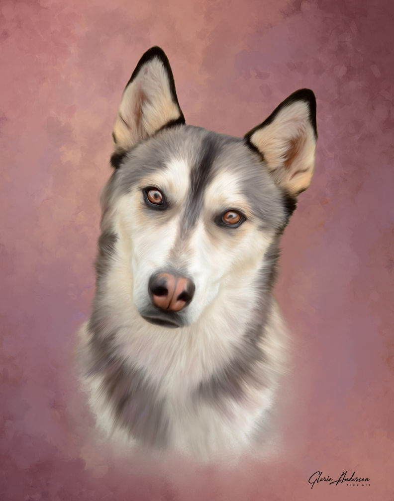 Huskey Portrait